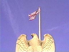 Eagle Flag