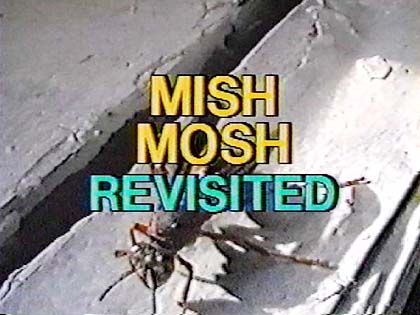 Mish Mosh Revisited Title