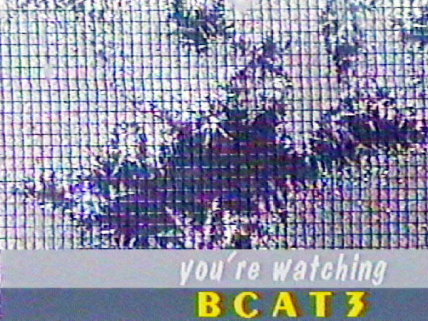 You're Watching BCAT3