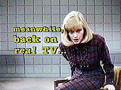 Meanwhile, Back on Real TV