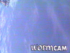 WormCam