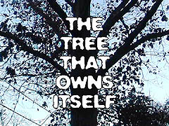 The Tree That Owns Itself
