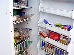 A Fridge Full of Flies